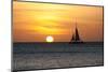 Sunset at the Beach-alex_bendea-Mounted Photographic Print