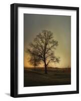 Sunset at the Cotton Field-Jai Johnson-Framed Giclee Print