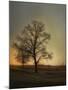 Sunset at the Cotton Field-Jai Johnson-Mounted Giclee Print