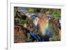 Sunset at the Epupa Waterfall, Namibia-Grobler du Preez-Framed Photographic Print