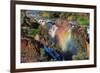 Sunset at the Epupa Waterfall, Namibia-Grobler du Preez-Framed Photographic Print