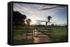 Sunset at the Gate of a Bonito Farm, with Rolling Hills in the Background-Alex Saberi-Framed Stretched Canvas