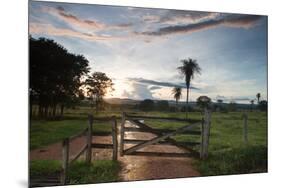 Sunset at the Gate of a Bonito Farm, with Rolling Hills in the Background-Alex Saberi-Mounted Photographic Print