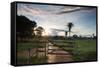 Sunset at the Gate of a Bonito Farm, with Rolling Hills in the Background-Alex Saberi-Framed Stretched Canvas