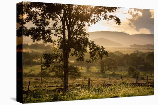 Sunset at the Gate of a Bonito Farm, with Rolling Hills in the Background-Alex Saberi-Stretched Canvas