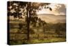 Sunset at the Gate of a Bonito Farm, with Rolling Hills in the Background-Alex Saberi-Stretched Canvas