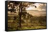 Sunset at the Gate of a Bonito Farm, with Rolling Hills in the Background-Alex Saberi-Framed Stretched Canvas