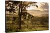 Sunset at the Gate of a Bonito Farm, with Rolling Hills in the Background-Alex Saberi-Stretched Canvas