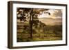 Sunset at the Gate of a Bonito Farm, with Rolling Hills in the Background-Alex Saberi-Framed Premium Photographic Print