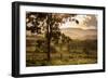 Sunset at the Gate of a Bonito Farm, with Rolling Hills in the Background-Alex Saberi-Framed Premium Photographic Print
