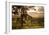 Sunset at the Gate of a Bonito Farm, with Rolling Hills in the Background-Alex Saberi-Framed Premium Photographic Print