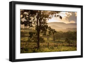 Sunset at the Gate of a Bonito Farm, with Rolling Hills in the Background-Alex Saberi-Framed Photographic Print