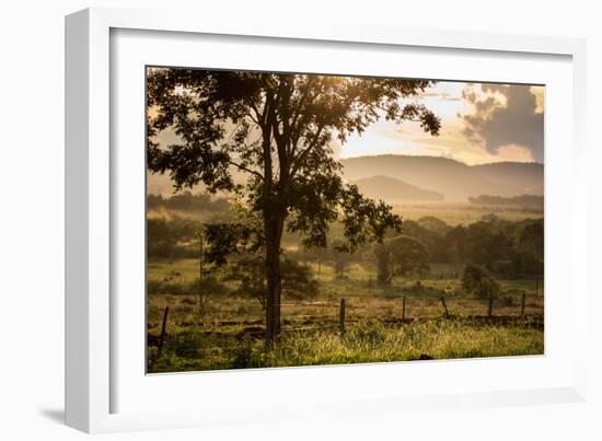 Sunset at the Gate of a Bonito Farm, with Rolling Hills in the Background-Alex Saberi-Framed Photographic Print