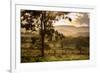 Sunset at the Gate of a Bonito Farm, with Rolling Hills in the Background-Alex Saberi-Framed Photographic Print