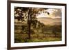 Sunset at the Gate of a Bonito Farm, with Rolling Hills in the Background-Alex Saberi-Framed Photographic Print