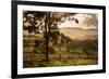 Sunset at the Gate of a Bonito Farm, with Rolling Hills in the Background-Alex Saberi-Framed Photographic Print