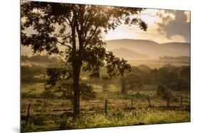 Sunset at the Gate of a Bonito Farm, with Rolling Hills in the Background-Alex Saberi-Mounted Photographic Print