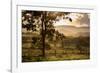 Sunset at the Gate of a Bonito Farm, with Rolling Hills in the Background-Alex Saberi-Framed Photographic Print