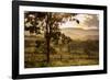 Sunset at the Gate of a Bonito Farm, with Rolling Hills in the Background-Alex Saberi-Framed Photographic Print