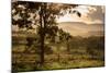 Sunset at the Gate of a Bonito Farm, with Rolling Hills in the Background-Alex Saberi-Mounted Photographic Print