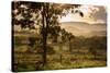 Sunset at the Gate of a Bonito Farm, with Rolling Hills in the Background-Alex Saberi-Stretched Canvas