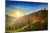 Sunset at the Newfound Gap in the Great Smoky Mountains.-SeanPavonePhoto-Mounted Photographic Print