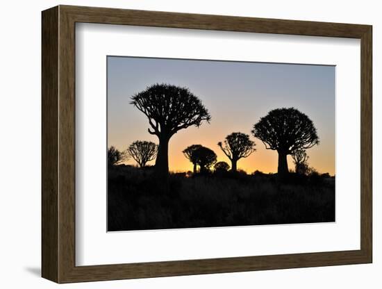 Sunset at the Quiver Tree Forest, Namibia-Grobler du Preez-Framed Photographic Print