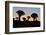 Sunset at the Quiver Tree Forest, Namibia-Grobler du Preez-Framed Photographic Print