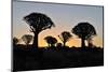 Sunset at the Quiver Tree Forest, Namibia-Grobler du Preez-Mounted Photographic Print