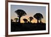 Sunset at the Quiver Tree Forest, Namibia-Grobler du Preez-Framed Photographic Print