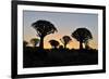 Sunset at the Quiver Tree Forest, Namibia-Grobler du Preez-Framed Photographic Print