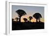 Sunset at the Quiver Tree Forest, Namibia-Grobler du Preez-Framed Photographic Print