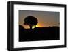 Sunset at the Quiver Tree Forest, Namibia-Grobler du Preez-Framed Photographic Print