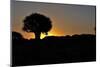 Sunset at the Quiver Tree Forest, Namibia-Grobler du Preez-Mounted Photographic Print