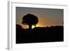 Sunset at the Quiver Tree Forest, Namibia-Grobler du Preez-Framed Photographic Print