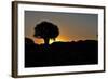 Sunset at the Quiver Tree Forest, Namibia-Grobler du Preez-Framed Photographic Print