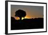 Sunset at the Quiver Tree Forest, Namibia-Grobler du Preez-Framed Photographic Print