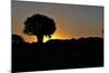 Sunset at the Quiver Tree Forest, Namibia-Grobler du Preez-Mounted Photographic Print