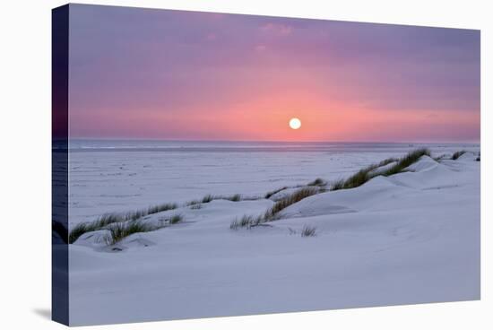 Sunset at the sea, Amrum, Schleswig-Holstein, Germany-null-Stretched Canvas