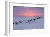 Sunset at the sea, Amrum, Schleswig-Holstein, Germany-null-Framed Art Print