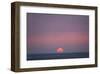 Sunset at the sea, Amrum, Schleswig-Holstein, Germany-null-Framed Art Print