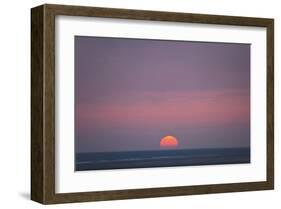 Sunset at the sea, Amrum, Schleswig-Holstein, Germany-null-Framed Art Print