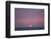 Sunset at the sea, Amrum, Schleswig-Holstein, Germany-null-Framed Art Print