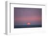 Sunset at the sea, Amrum, Schleswig-Holstein, Germany-null-Framed Art Print