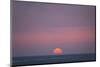 Sunset at the sea, Amrum, Schleswig-Holstein, Germany-null-Mounted Art Print