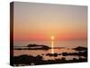 Sunset at the Sea-null-Stretched Canvas