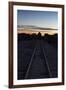 Sunset at the Train Graveyard in Uyuni, Bolivia-Alex Saberi-Framed Photographic Print