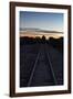 Sunset at the Train Graveyard in Uyuni, Bolivia-Alex Saberi-Framed Photographic Print