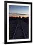 Sunset at the Train Graveyard in Uyuni, Bolivia-Alex Saberi-Framed Photographic Print