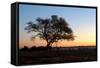 Sunset at the Waterhole at the Okaukeujo Rest Camp, Etosha National Park, Namibia-Grobler du Preez-Framed Stretched Canvas